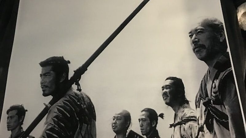 在选择绿植时，需要考虑以下因素：