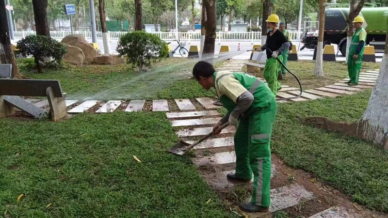 绿化养护药剂：如何选择合适的批发报价**
