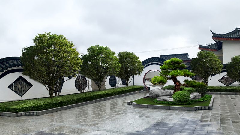 苗木种植技术视频教程：高清版，揭秘种植秘诀