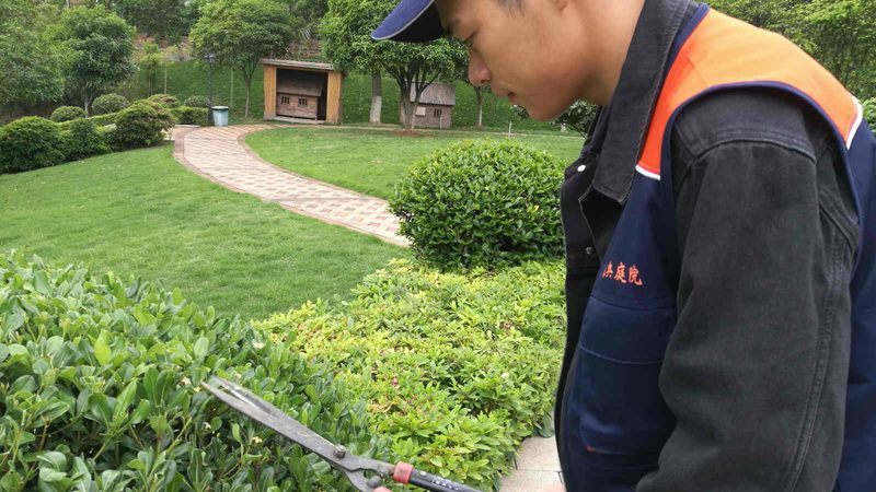 商业广场园林景观验收标准全解析