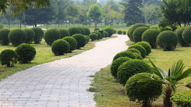 公园绿化项目报价解析：如何合理评估成本**