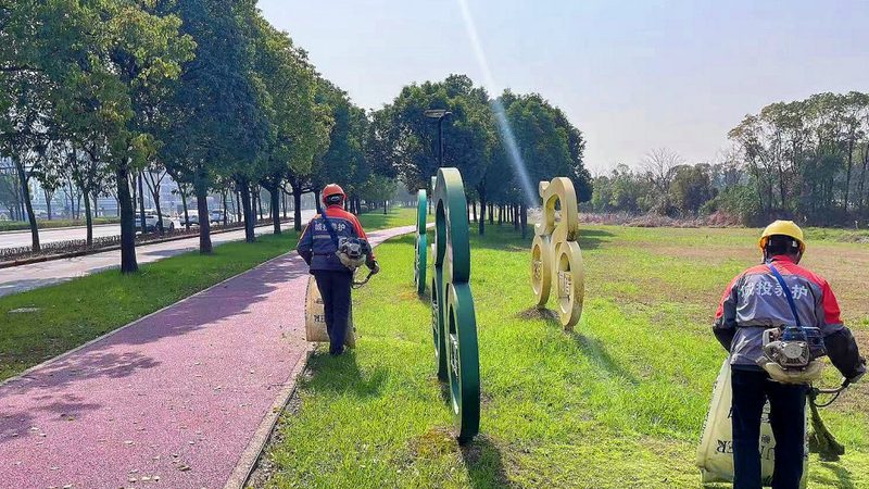道路绿化养护，这些关键点你了解吗？**