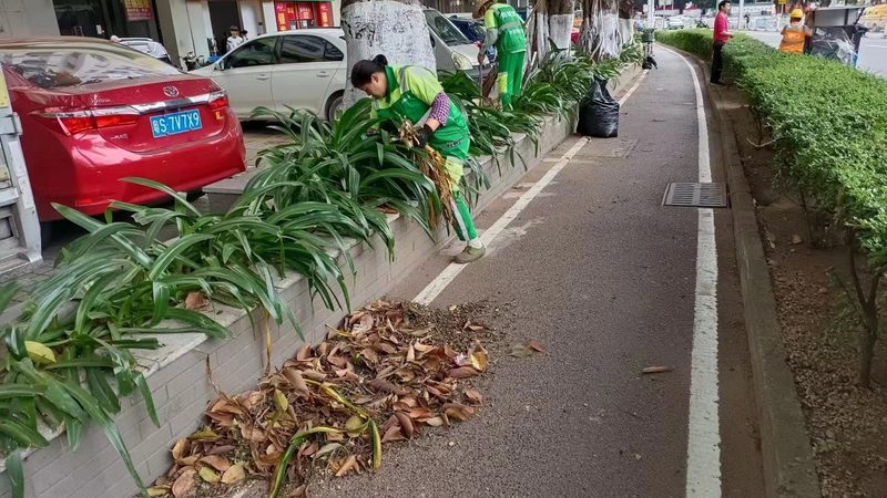 液压喷播绿化施工规范：技术要点与实施流程