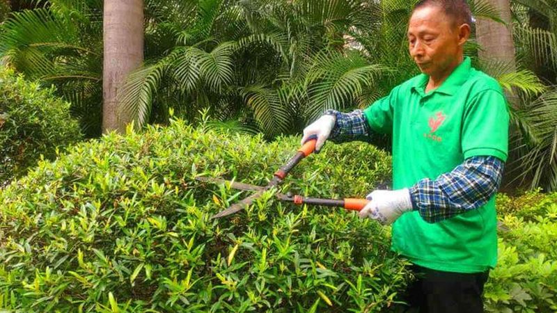 边坡绿化TBS喷播技术：揭秘其规范与优势