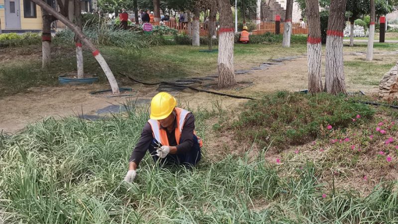 小区园林养护，一年费用多少才合理？**