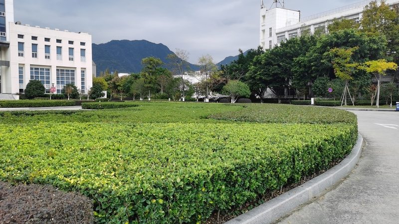 立体绿化植物墙材质分类解析**