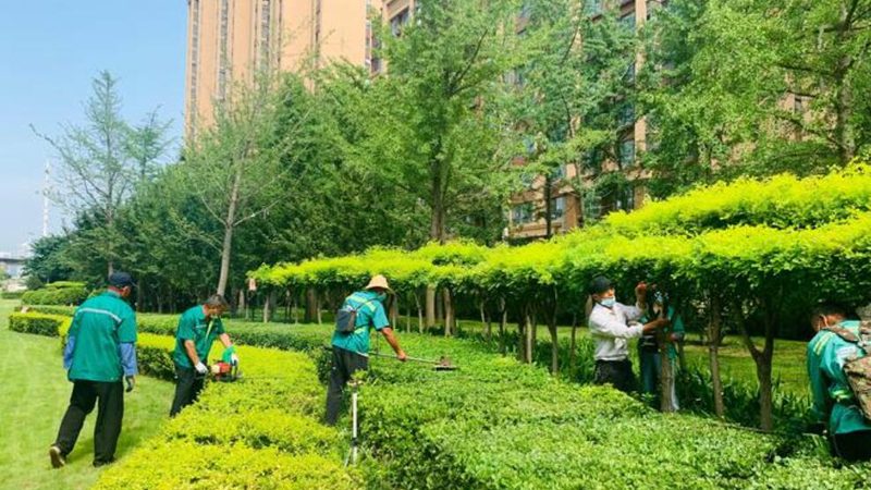 屋顶草坪防水层厚度，你了解多少？**